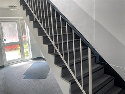Picture 11